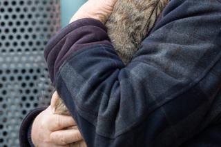 Kot fajtłapa wezwał strażaków.