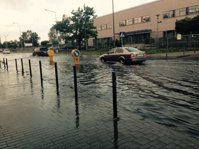 Wrocław: Burza przeszła przez miasto. Takiej nawałnicy nie było od dawna [ZDJĘCIA, AUDIO, WIDEO]