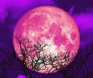 Ten znak zodiaku zostanie doceniony, nareszcie los sypnie złotem. Horoskop na pełnię Księżyca w czerwcu z przepowiednią bogactwa i splendoru