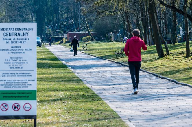 Koronawirus w Trójmieście. Zamiast po parku, plaży czy lesie ludzie spacerują po cmentarzach