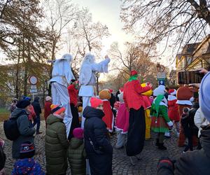 Parada Św. Mikołaja w Rzeszowie. Tłumy dzieci na spotkaniu ze Świętym na Rynku