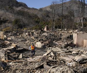 To koniec Los Angeles?! Miasto gwiazd może nie podnieść się po pożarach