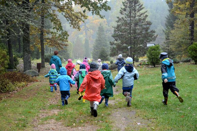 Przedszkolaki poznają las. Niezwykłe zajęcia nieopodal Białegostoku