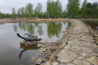 Tężnia solankowa w Jaworznie