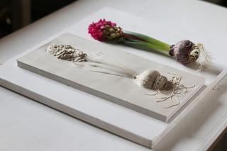 Roma Roman, Portrety Roślin