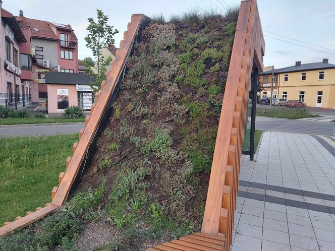 Kolejne 22 tysiące na zielone wiaty w Starachowicach