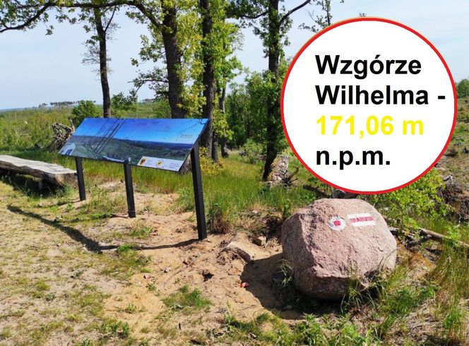 Wzgórze Wilhelma