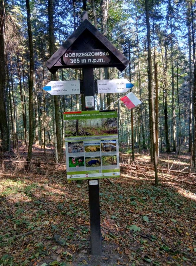 Góra Dobrzeszowska w Świętokrzyskiem