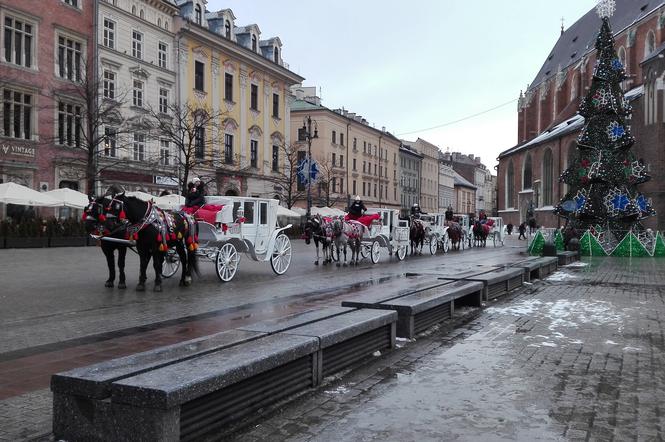 Dorożki Kraków