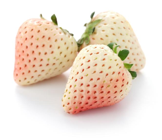 Pineberry - biała truskawka