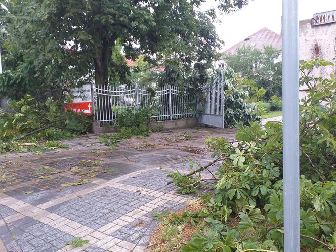 Burza w Płocku