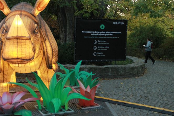 "Garden of Lights" ponownie rozświetlił wrocławskie zoo