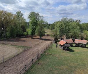 Europejska Wieś Bociania w Pentowie. Unikalne miejsce na Podlasiu