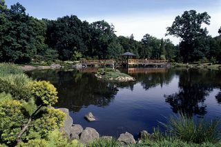 Najpiękniejszy ogród botaniczny w Polsce znów otwarty dla gości. Przygotuj się na widoki jak z bajki 