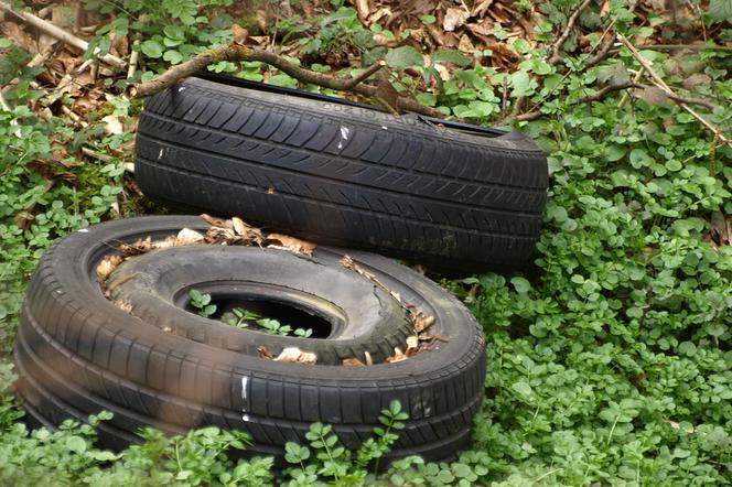 W Łodzi jest aż 18 nielegalnych wysypisk śmieci