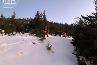 Turyści poślizgnęli się na oblodzonym szlaku. Fatalny początek ferii zimowych w Karkonoszach 