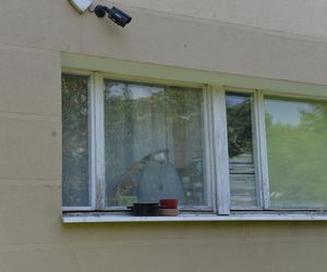 Brat rzucił się z nożem na brata. Wstrząsające relacje sąsiadów. „Krzyczał, że długo nie wytrzyma”