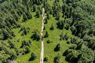 Jaworze nowym uzdrowiskiem