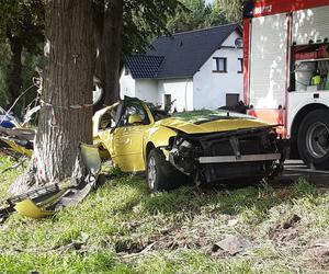 Śmiertelny wypadek pod Świebodzinem. Auto 37- i 32-latka zostało rozerwane na strzępy [ZDJĘCIA].