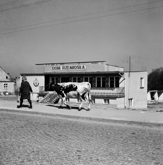 Iławscy rzemieślnicy patronem 2024 roku