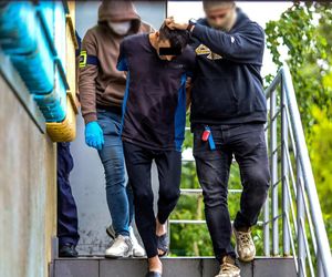 Rodzinny horror w dawnym tartaku