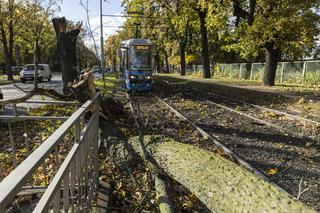Wrocław. Uszkodzenie trakcji tramwajowej