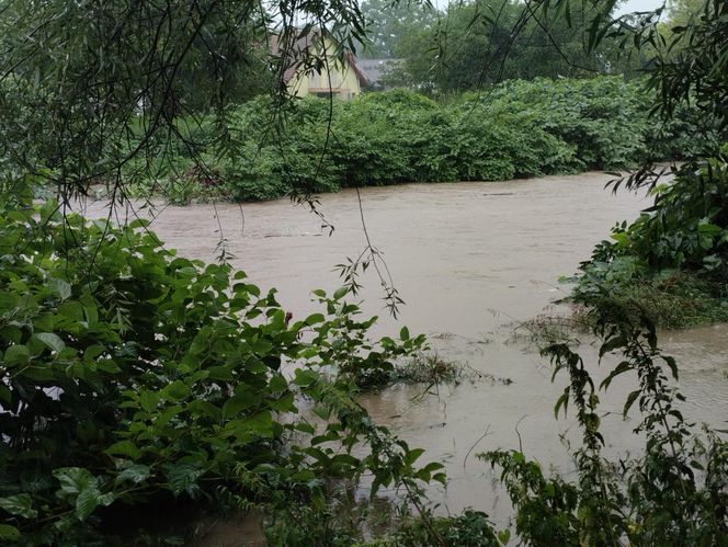 Ulewne deszcze na Śląsku. Trudna sytuacja na Żywiecczyźnie