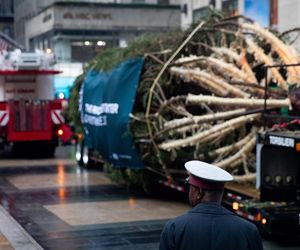W Nowym Jorku stanęła choinka. Tłumy towarzyszyły jej transportowi