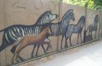 Malarz sam odnawia mural na ogrodzeniu wrocławskiego zoo