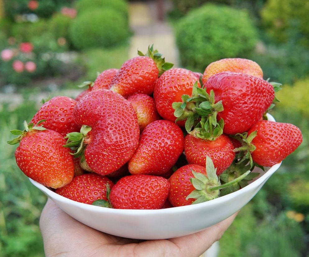 Jak myć truskawki bez chemii? Naturalny sposób na czyste i bezpieczne owoce