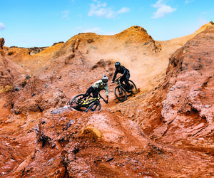 Garmin Edge MTB