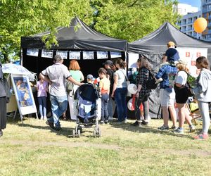 Witaj Lato na Bielanach! Wielkie gwiazdy wystąpią na dzielnicowym pikniku