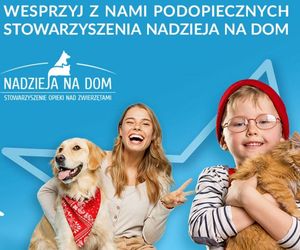 Plejada Pomagania w Sosnowcu. Już 26 października w centrum handlowym odbędzie się zbiórka dla zwierząt ze stowarzyszenia Nadzieja na Dom