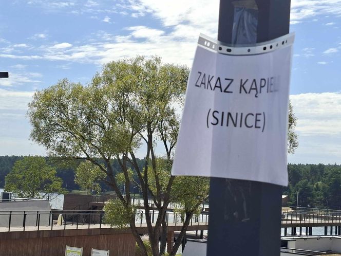 Sinice nad Lubianką