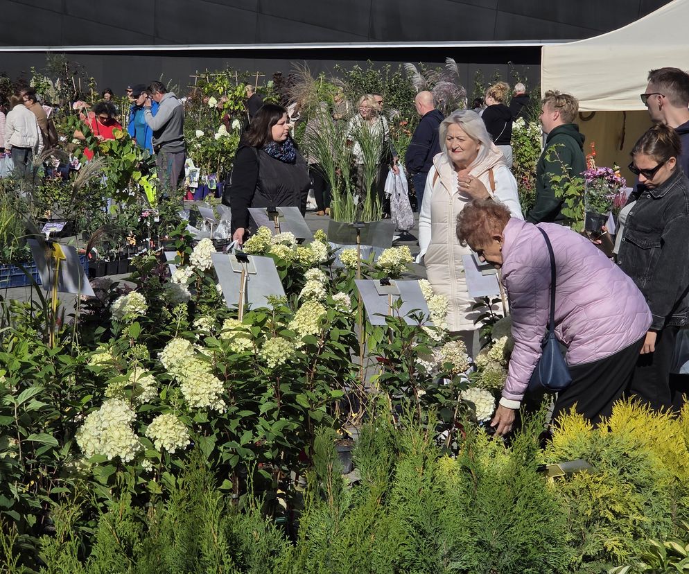 Jesienny Kiermasz Ogrodniczy w Bydgoszczy przyciągnął miłośników zieleni i smakołyków!