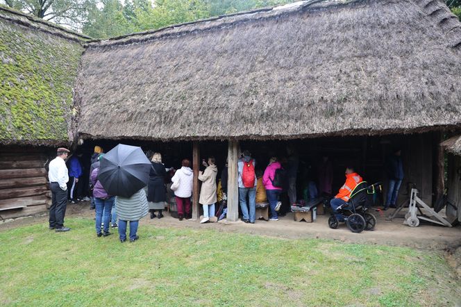 Tak ongiś siekano kapustę w woj. lubelskim. „Obieraczki kapuściane” w Muzeum Wsi Lubelskiej