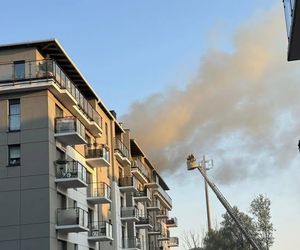 Pożar przy ul. Krańcowej w Poznaniu. Strażacy: To była trudna noc [ZDJĘCIA]