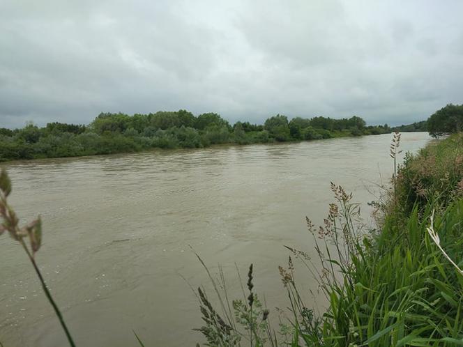 Wysoki Dunajec pod Tarnowem! Biała przy Azotach też przybiera