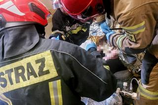 Pożar w wieżowcu na terenie Torunia. 7 zastępów straży w akcji