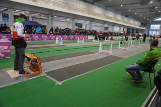 Międzynarodowa Wystawa Psów Rasowych w Poznaniu