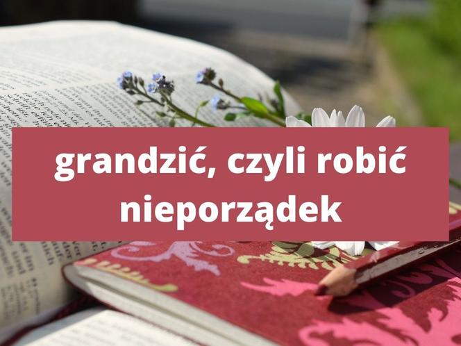 Te słowa tylko na Podkarpaciu! Znasz znaczenie tych słów? 