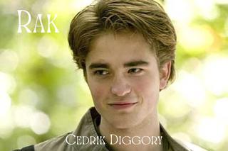 Którą postać z Harry'ego Pottera przypominasz według Twojego znaku zodiaku?