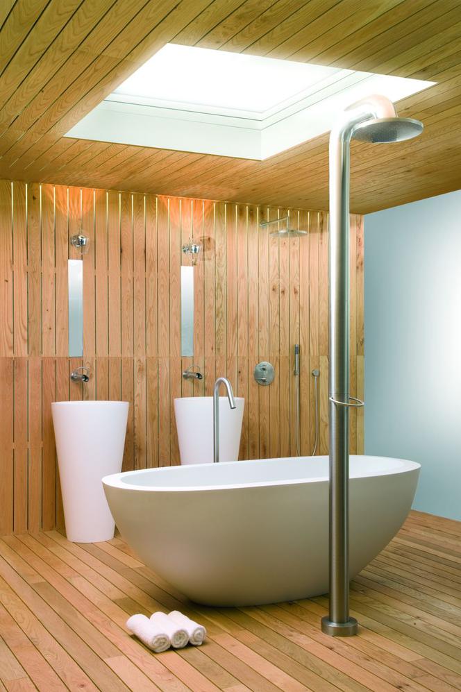 Prysznic XXI wieku: wielofunkcyjne natryski i deszczownie, kabiny walk-in