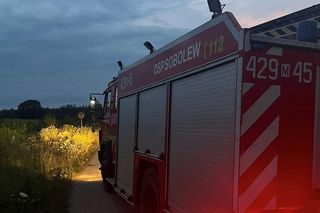 Zwęglone zwłoki w audi 