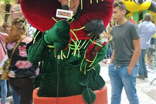 Krwiożercze rośliny opanowały katowicki Spodek! Trwa Festiwal Roślin Owadożernych [ZDJĘCIA, AUDIO]