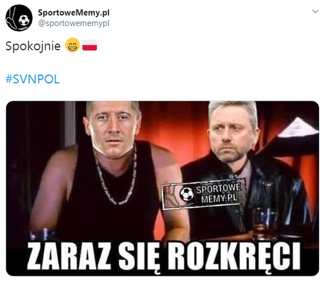 Memy po meczu Słowenia - Polska