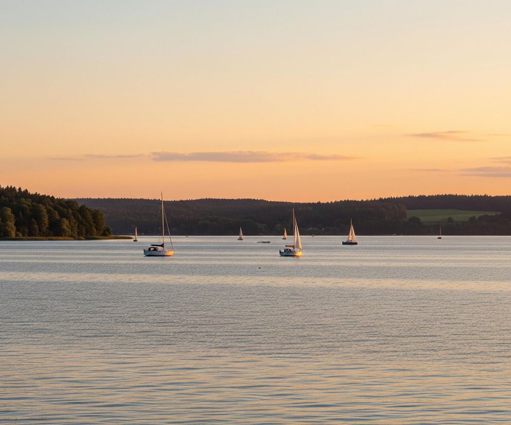 Na pierwszym planie widoczne są liście drzewa po lewej stronie kadru, zanurzone w ciepłym, wieczornym świetle. Rozległy zbiornik wodny rozciąga się przez środek obrazu, a jego powierzchnia pokryta jest drobnymi falami, odbijającymi pomarańczowo-różowe barwy zachodzącego słońca. Na wodzie płynie kilka białych żaglówek, z których największa znajduje się w centrum kadru, oświetlona ciepłym światłem. W tle rozciąga się pasmo ciemnych lasów, z wyraźnie zarysowaną linią drzew na horyzoncie, pod jasnym, stopniowo jaśniejącym ku górze niebem z kilkoma rozproszonymi obłokami.