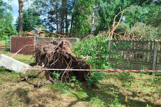Burze nad województwem łódzkim. Strażacy interweniowali blisko 240 razy