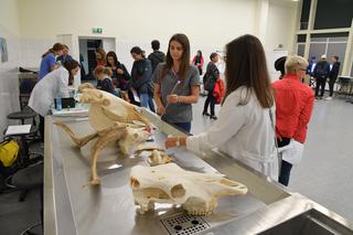 Odnawialne źródła energii, a może bioinżynieria zwierząt? Studiuj w Krakowie! W czerwcu ruszyła rekrutacja na Uniwersytet Rolniczy.