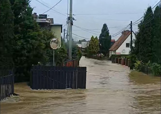 Galeria powodziowa Cieszyn 2024